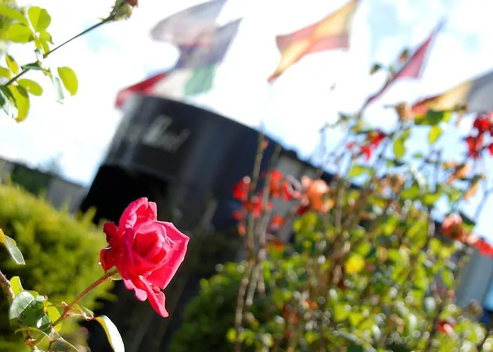 Hotel Sporting Gubbio